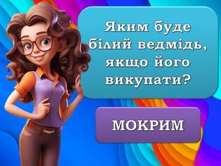 06014o9r-426e-315x236.jpg