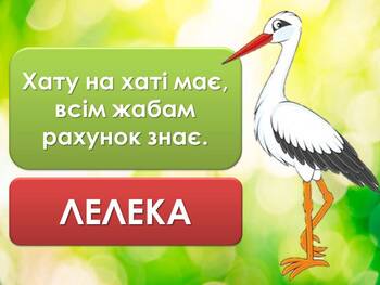 06014p58-af22-350x263.jpg
