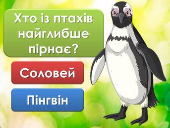 06014p5e-4d46-343x257.jpg
