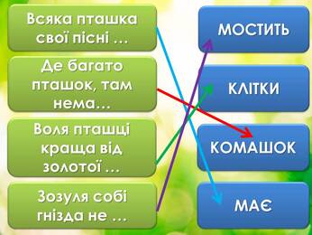 06014p5f-d013-346x260.jpg