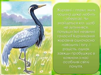 06014p5j-e998-343x257.jpg