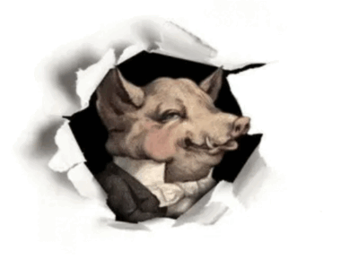 06014p81-2a30-380x299.png
