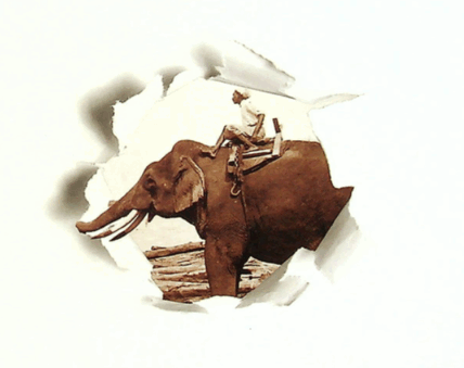 06014p86-973f-428x339.png