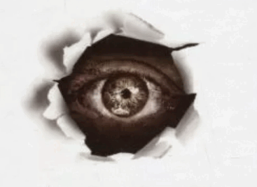 06014p8a-cbed-409x299.png
