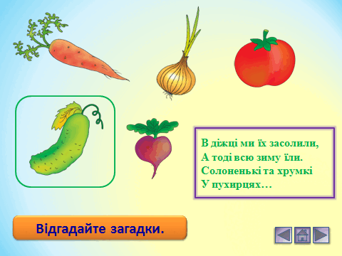 06014p9o-0958-480x360.png