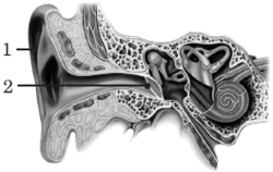 06014q6j-5147-250x158.png