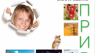 Як влаштована та функціонує нервова система людини