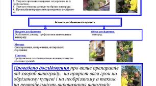 ВИНОГРАДАРСТВО:  ДОГЛЯД В ДОМАШНІХ УМОВАХ
