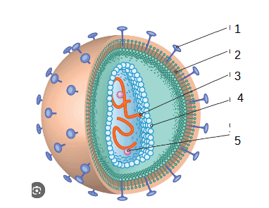 06014szp-3a25-382x296.png