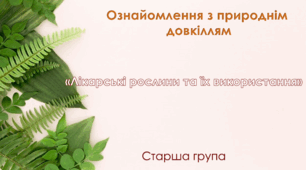 Ознайомлення з природнім довкіллям.Старша група "Лікарські рослини та їх використання"