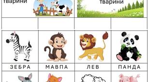 Свійські та дикі тварини