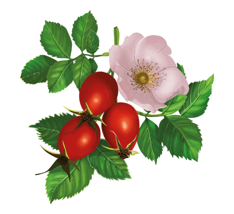 06014vyj-d821-468x428.png
