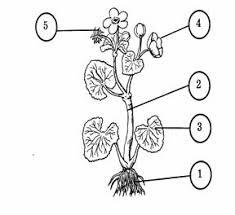 06014w03-ee4d-301x275.jpg