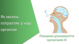 Презентація з уроку Пізнаємо природу для 5 класу на тему «Як кисень потрапляє у наш організм»