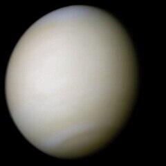 06014xm1-f536-240x240.jpg