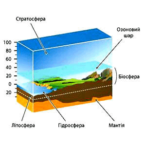 060150le-f491-300x300.png