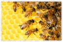0601529w-7d51-130x87.png