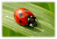 060152d7-20f2-193x133.png