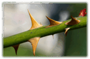060152eb-9b80-184x120.png