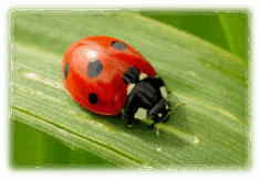 060152f3-b652-234x162.png