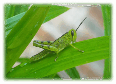 060152f9-e1fd-470x344.png