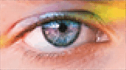 image3.png