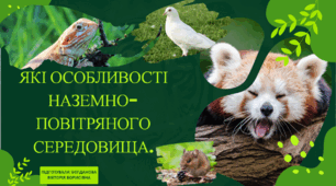 ЯКІ ОСОБЛИВОСТІ НАЗЕМНО-ПОВІТРЯНОГО СЕРЕДОВИЩА.