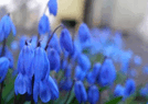 0601532m-33c5-134x95.png