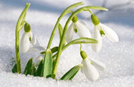 0601532v-293a-134x87.png