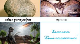 Монтессорі-картки (номенклатурні картки) "Юний палеонтолог"