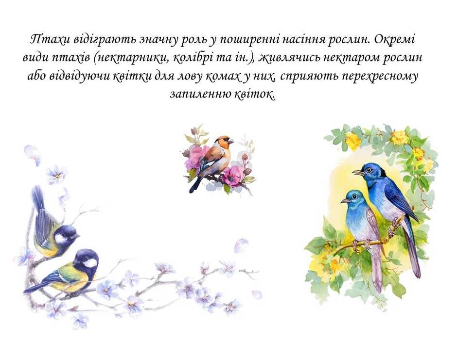 060157ll-0f30-940x705.jpg