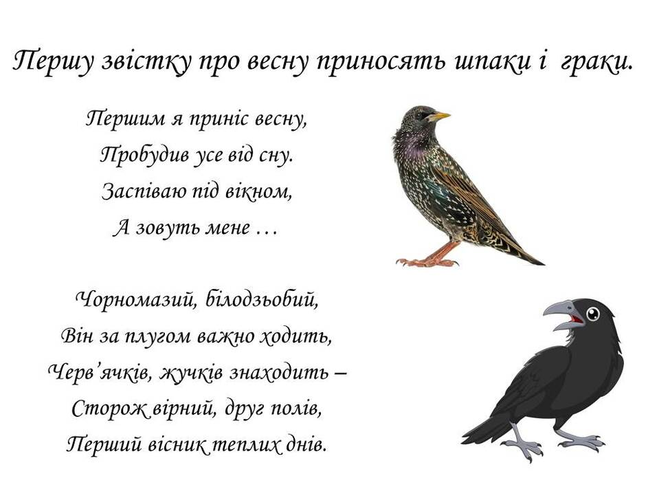 060157ln-486d-940x705.jpg