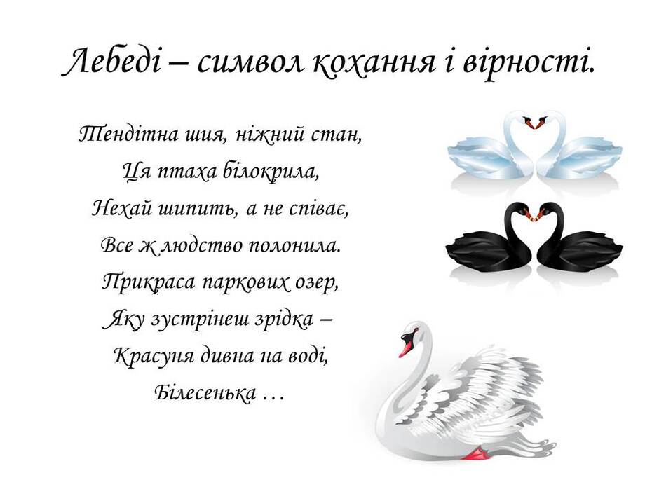 060157lv-ce77-940x705.jpg