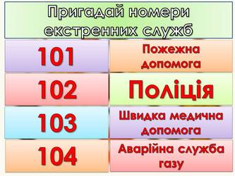 06015960-898a-333x250.jpg