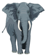 06015d22-e67c-186x231.png