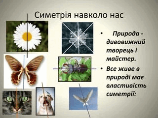 06015d3l-202c-320x240.png