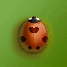 06015d5e-19fa-225x225.png