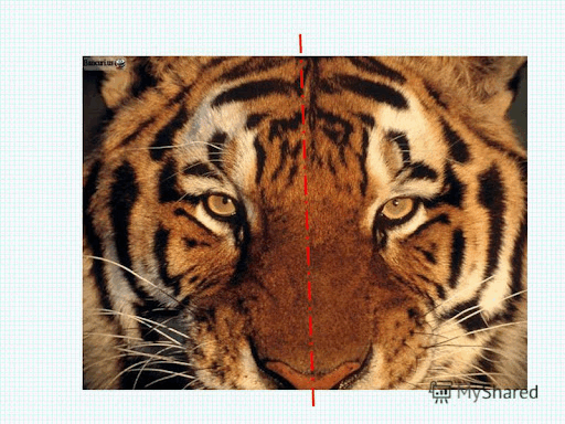 06015d7g-e1fa-512x384.png