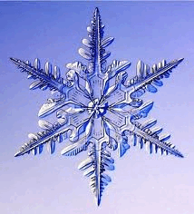 06015d87-8ee6-214x236.png