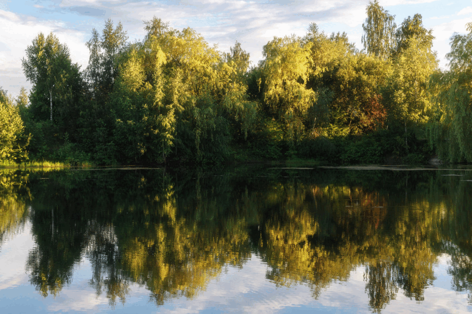 06015dam-08f7-940x627.png