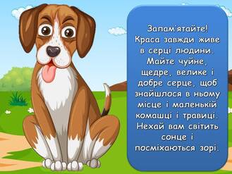 06015dl3-8a0e-329x247.jpg