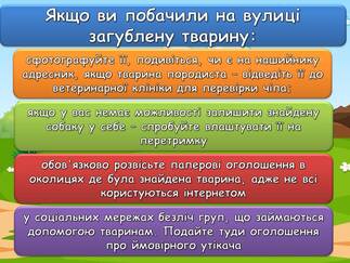 06015dl6-befe-323x243.jpg
