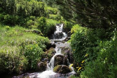 Струмок з красивими маленькими водоспадами