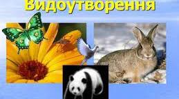 Видоутворення 