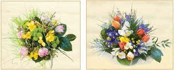 06015hy9-b541-354x142.png