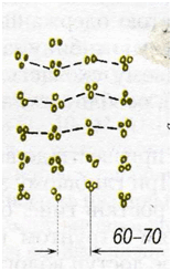 06015k6x-d346-156x245.png