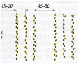 06015k6z-c483-279x224.png