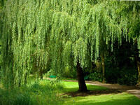 06015k8l-3264-200x150.jpg