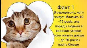 Презентація "Котики - пухнастики".  ЯДС 1 клас.