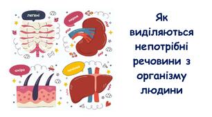 Презентація на тему: "Як виділяються непотрібні речовини з організму людини" 5 клас НУШ
